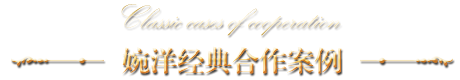 婉洋經典合作案例
